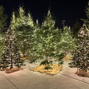 Meet your Posher, Lina